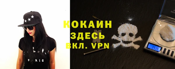 твердый Алексин