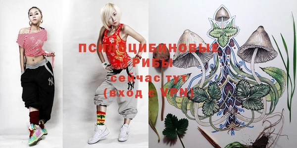 ешки Алзамай
