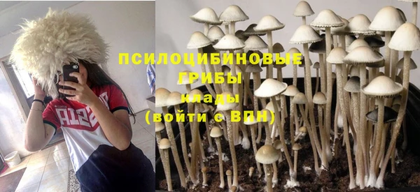 твердый Алексин