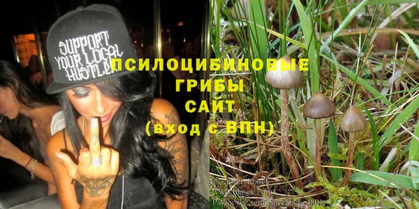 ешки Алзамай