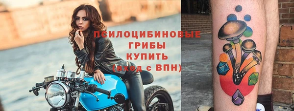 твердый Алексин