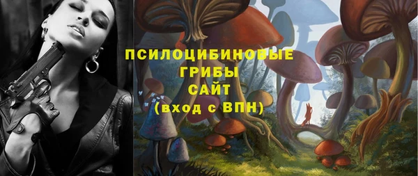 твердый Алексин