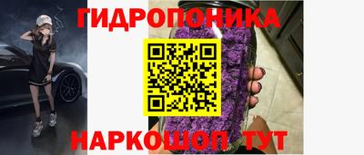 крисы Балаково