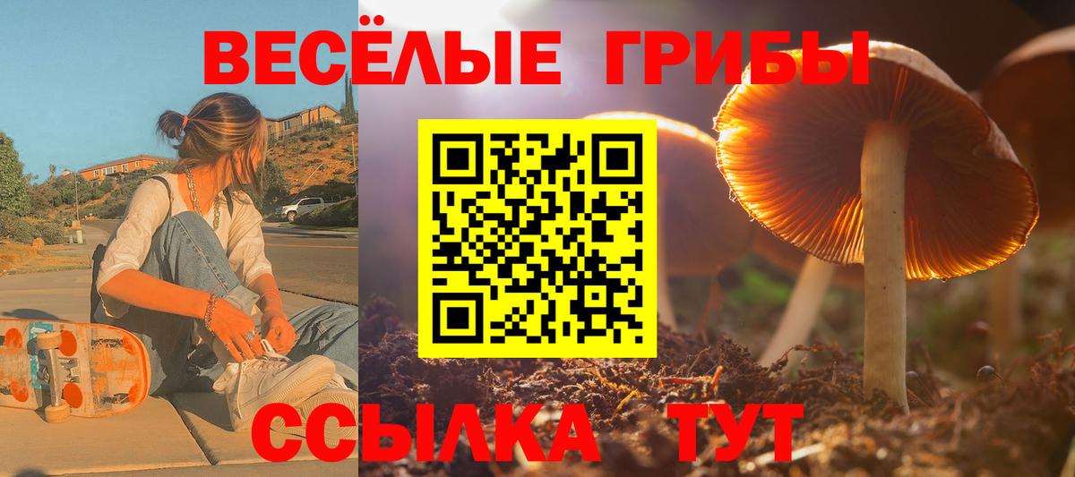 Дзержинский  Псилоцибиновые грибы прущие грибы  Вход с VPN 